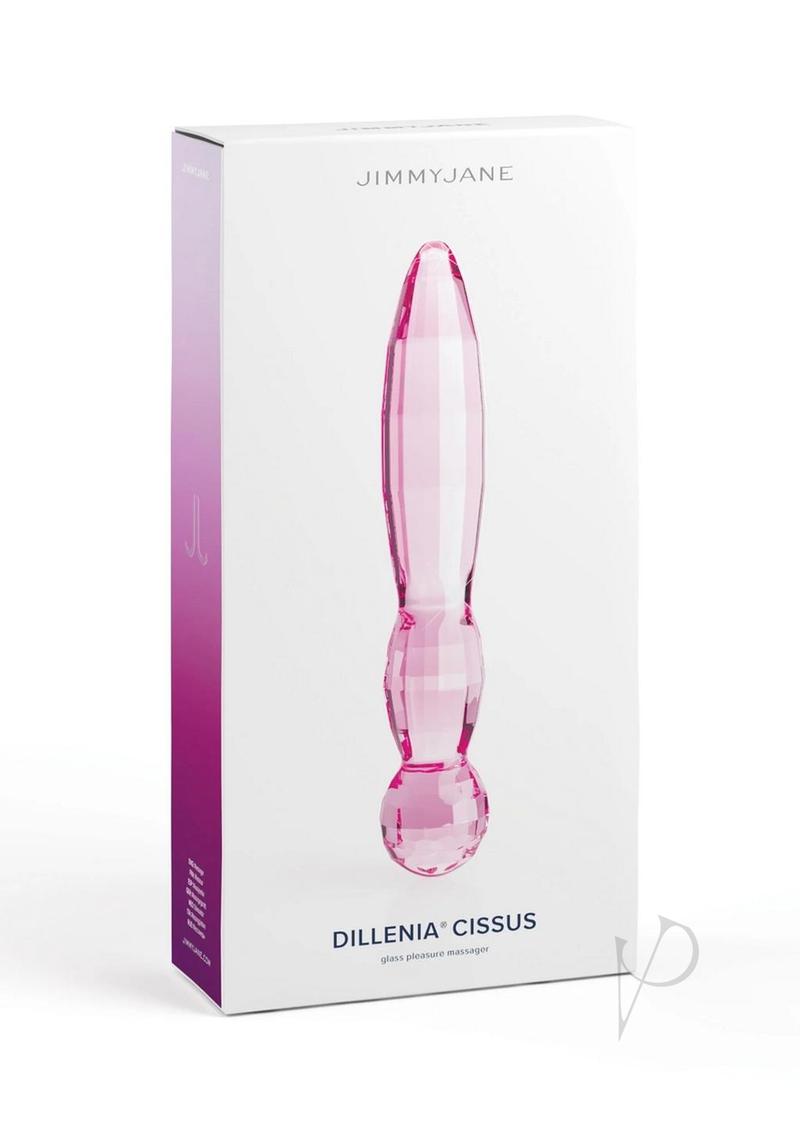 JimmyJane Dillenia Cissus glass massager in pink, in its retail box